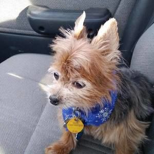 Meet your Posher, Shari